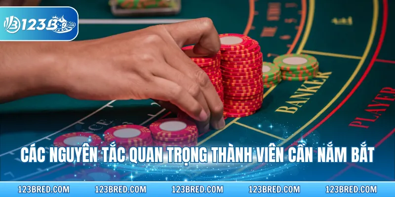 Các nguyên tắc quan trọng thành viên cần nắm bắt