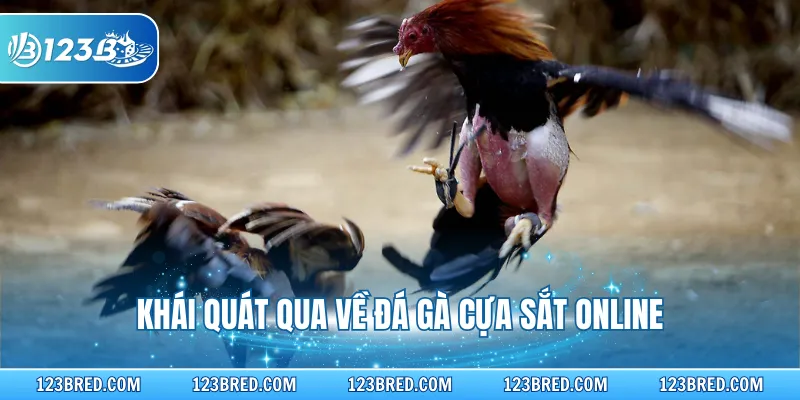 Khái quát qua về đá gà cựa sắt online